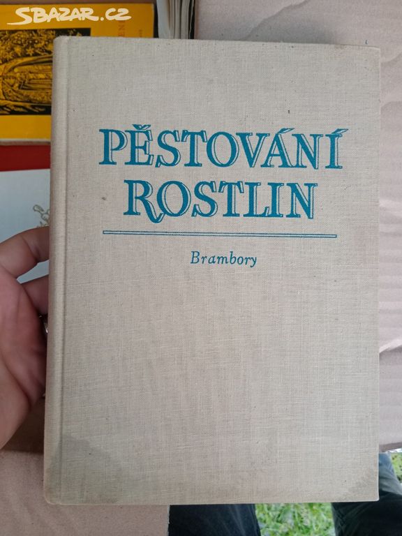 Pěstování rostlin - brambory