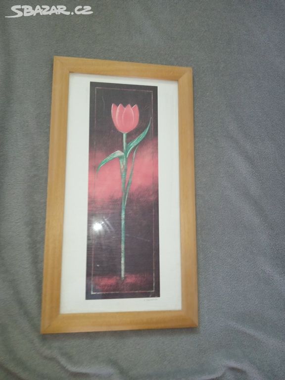 Obrázek s tulipánem.