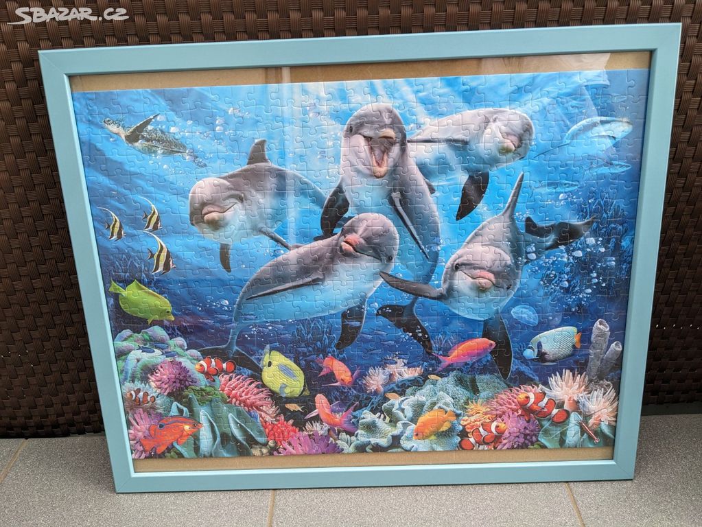 Puzzle Delfíni na korálovém útesu - zarámováno
