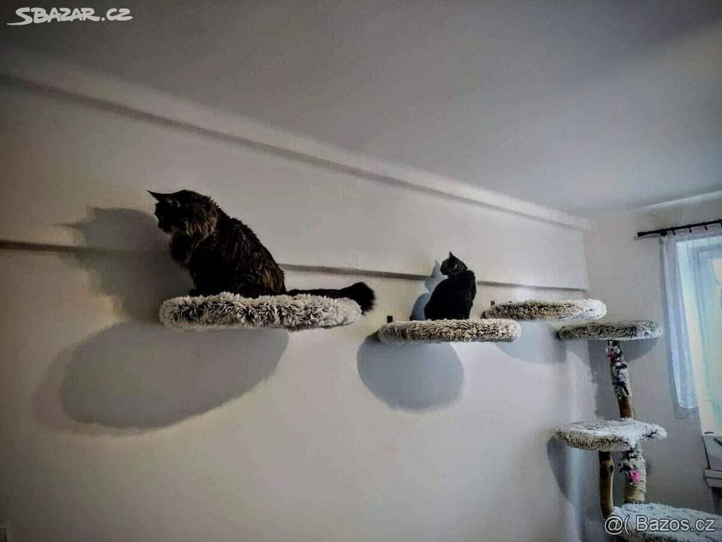 Kočičí plochy na zeď , odpočívadlo