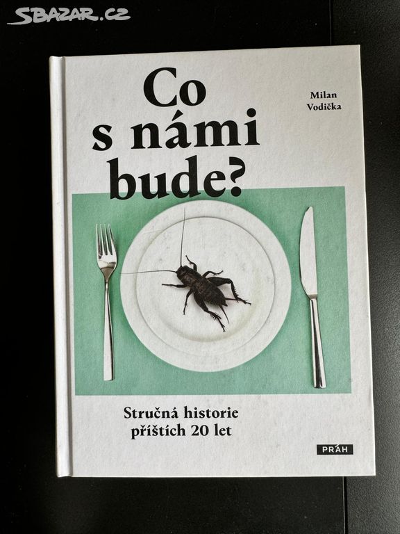 Co s námi bude? (Milan Vodička)