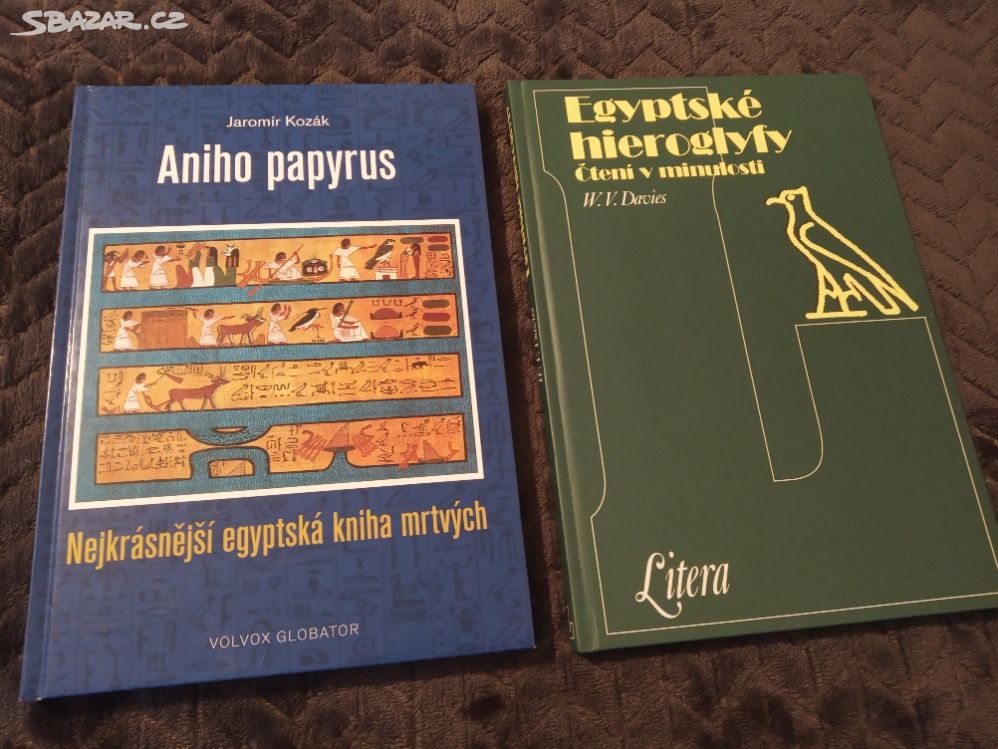 Egyptské hieroglyfy a Aniho papyrus