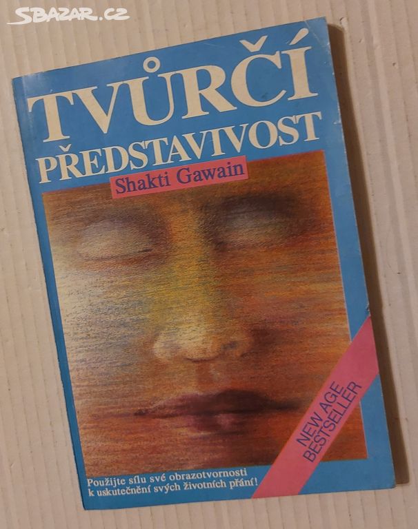 TVŮRČÍ PŘEDSTAVIVOST