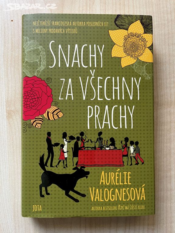 Kniha A.Valognesová Snacha za všechny prachy nová