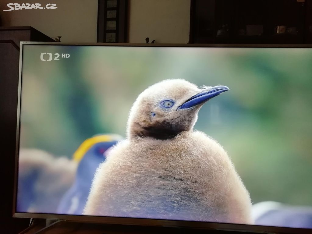 Tv Smart Hisesnse 138 cm