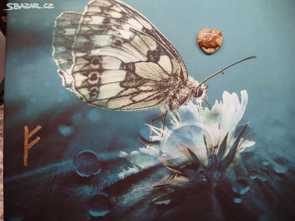 Motýl a květiny s kapkami rosy -plátno, Jaspis