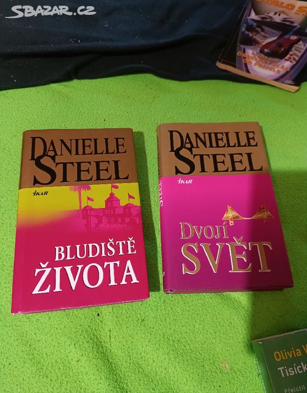 Bludiště života Danielle Steel dvojí život