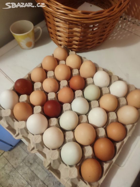 Vajíčka domaci