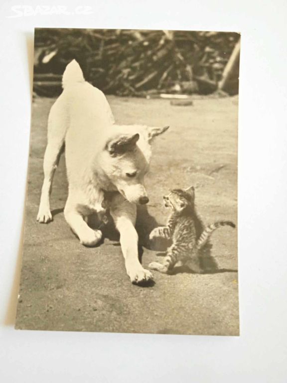 POHLED, 1962, starý, retro pohlednice, VF