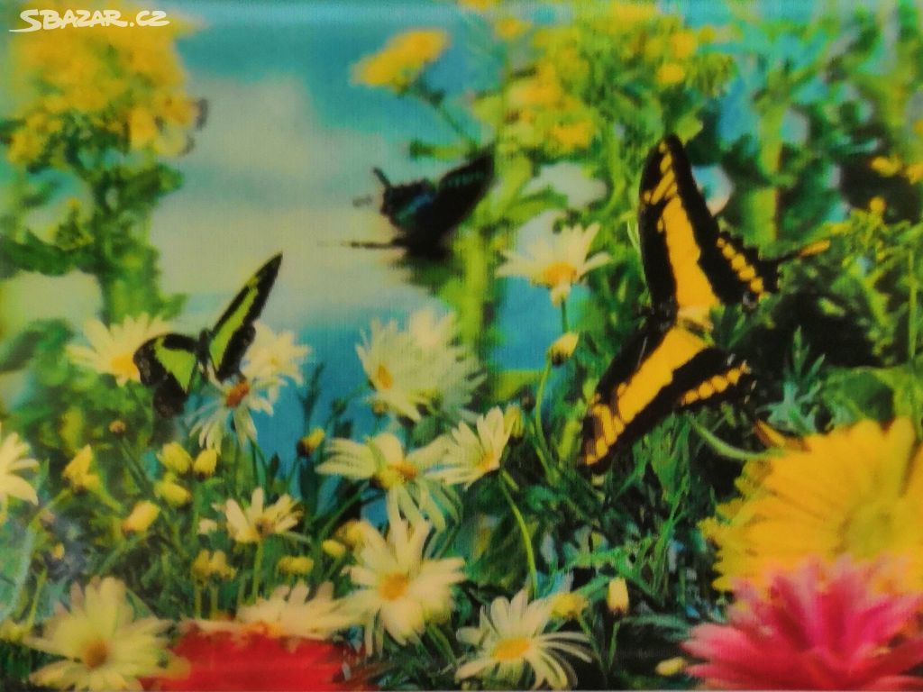 Prodám 3D pohlednici motýl