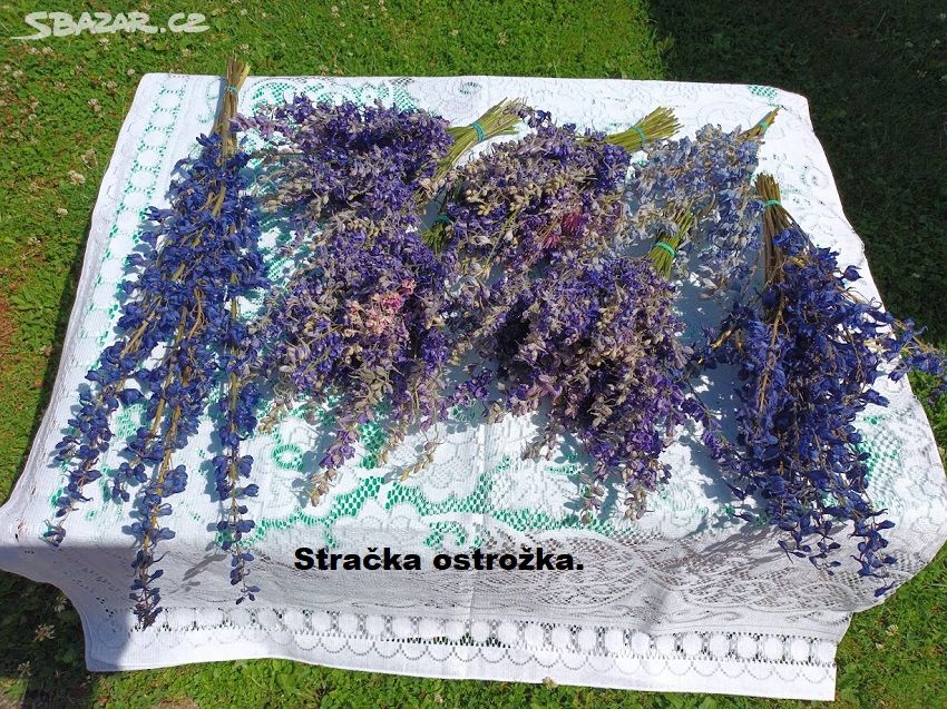 Sušené květiny,kytice - Stračka ostrožka č.1.