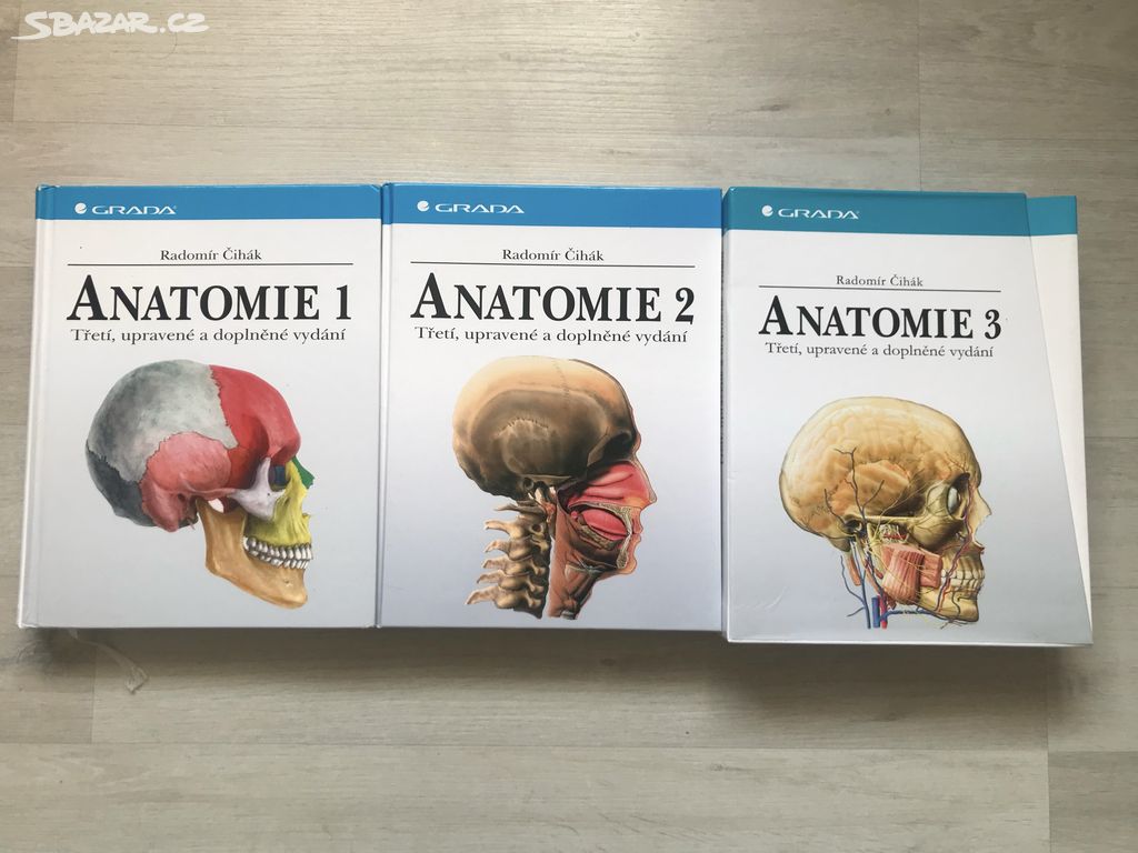 Anatomie Čihák