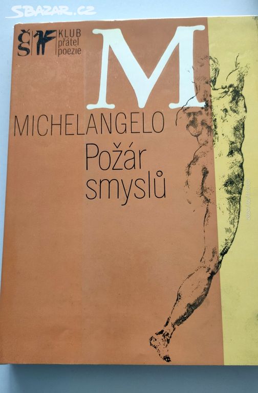 Kniha Požár smyslu Michelangelo