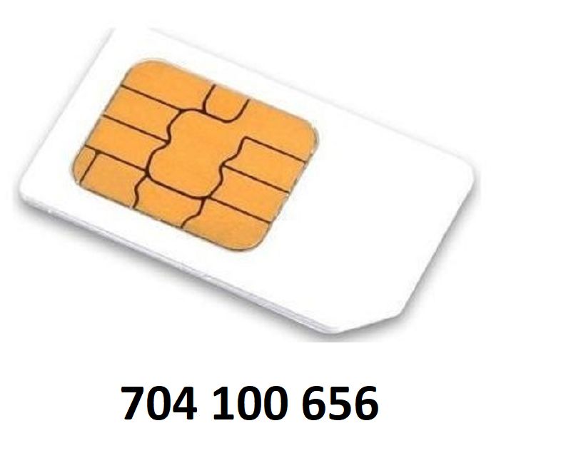 Nová sim karta - zlaté číslo: 704 100 656