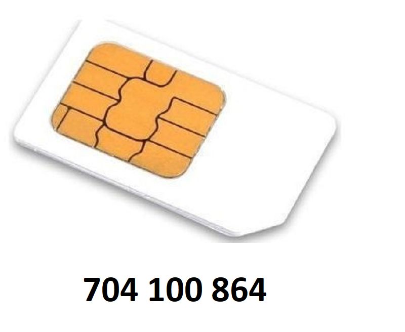 Nová sim karta - zlaté číslo: 704 100 864