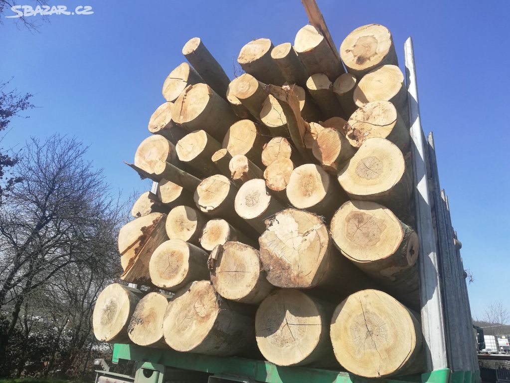Palivové Dřevo Tvrdé Lesovůz
