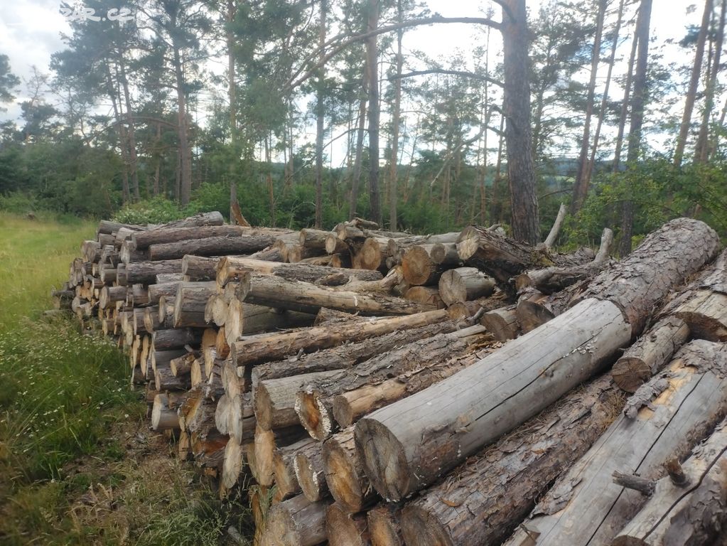 Palivové dřevo Borovice