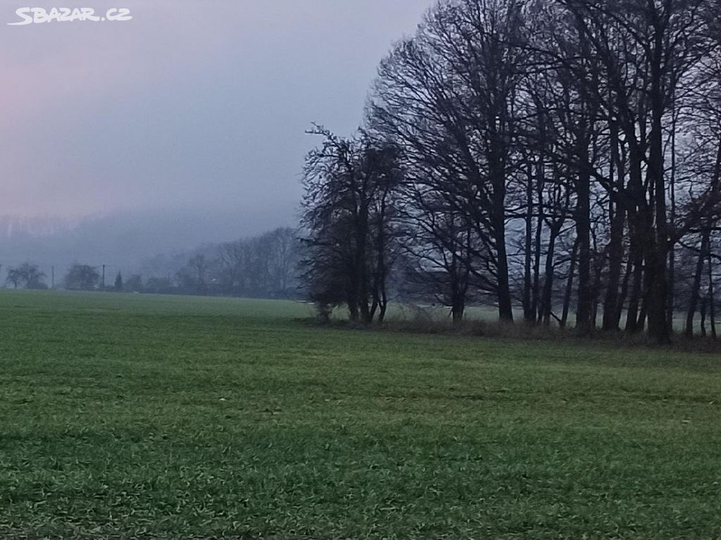 Prodám pozemek v k. ú. Podolí u Mnichova Hradiště