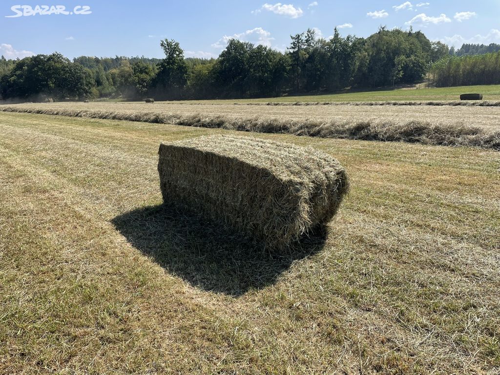 Seno - velké hranaté balíky