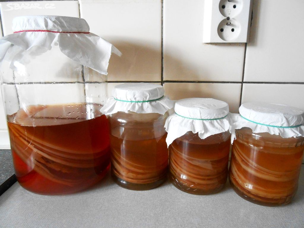 Kombucha