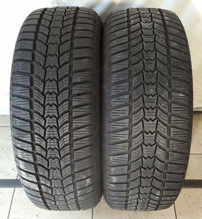 205/55R16 91H Eskimo HP 2 SAVA zimní až 2 ks