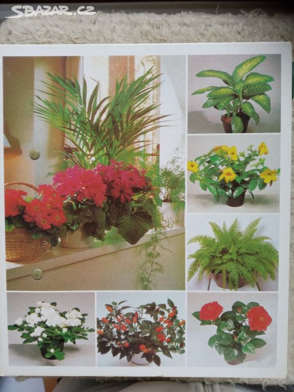 Pokojové rostliny od A do Z