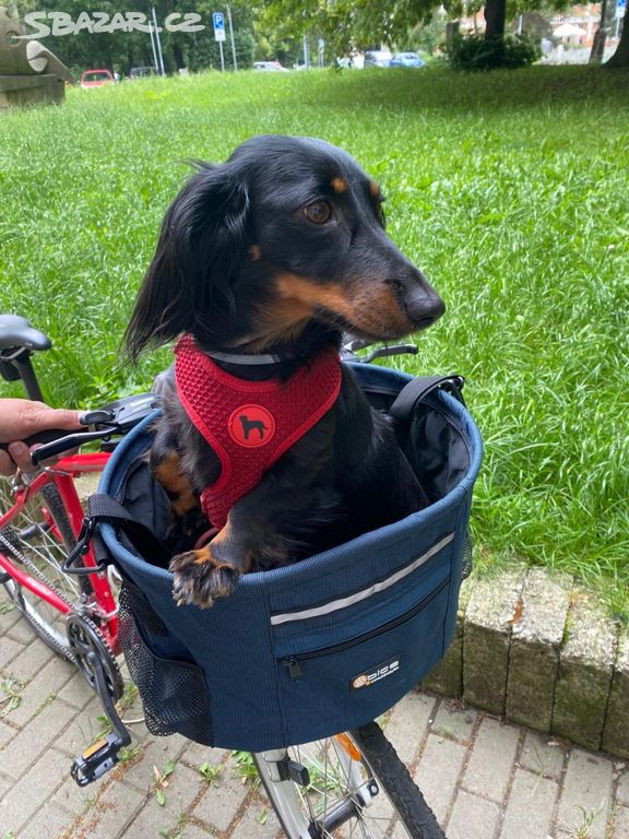 Košík na kolo na psa