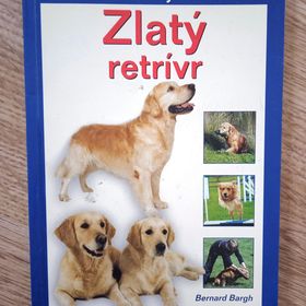 Obrázek k inzerátu: Zlatý retrívr