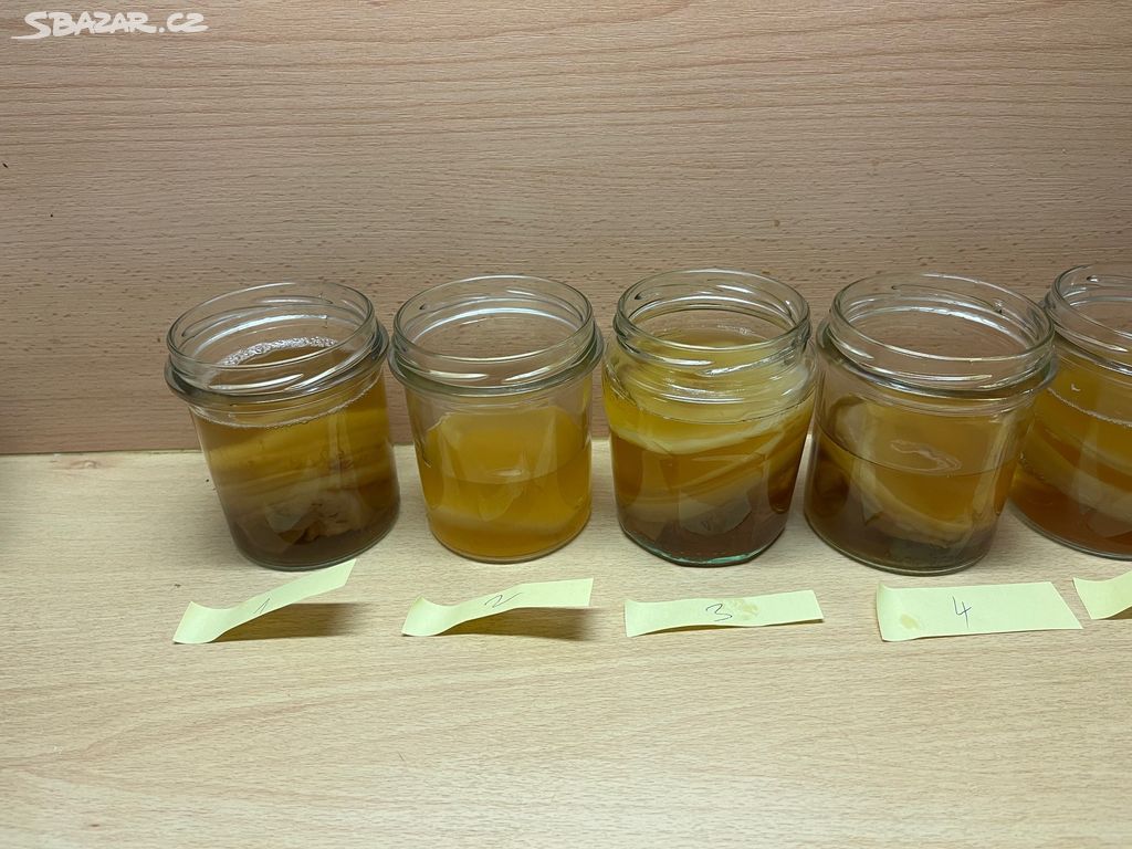 Kombucha SCOBY - vyber si svojí kombuchu