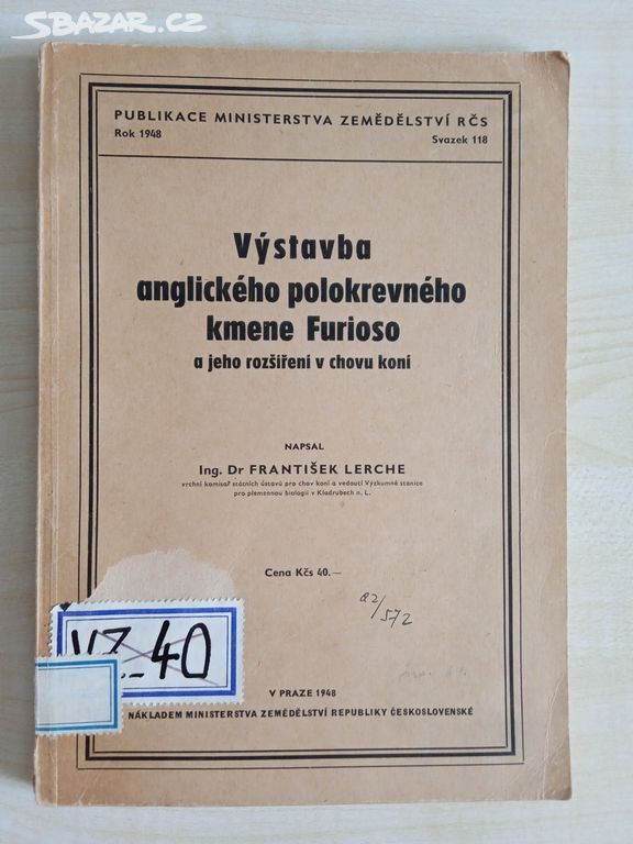 Výstavba anglického polokrevného kmene Furioso