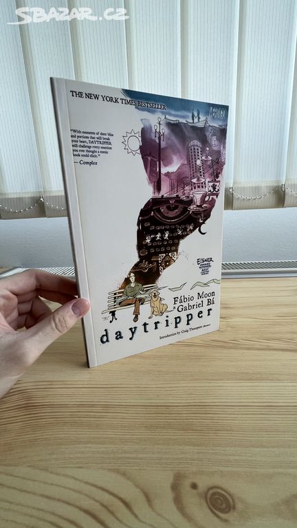 Daytripper