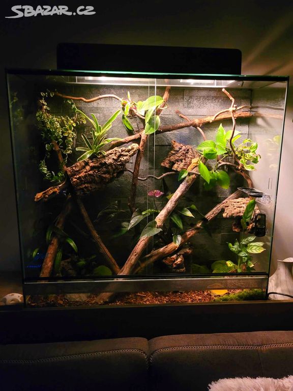 Terarium na míru.