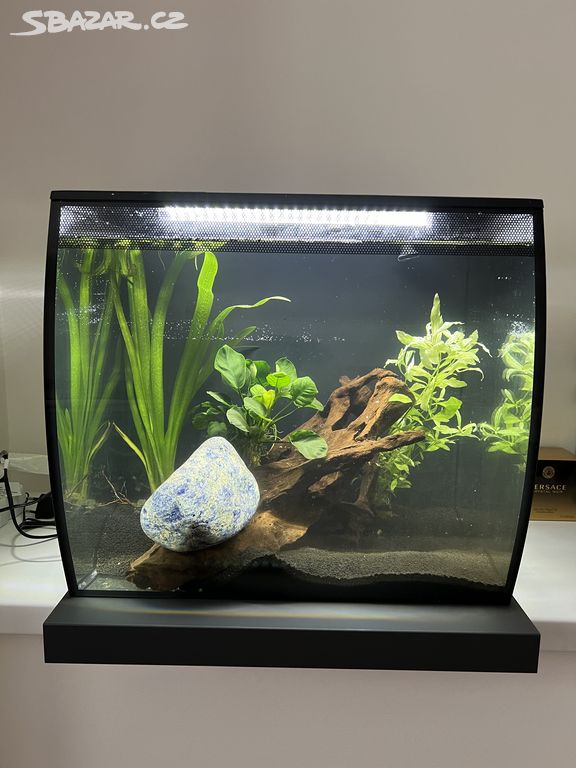 Akvarium 60l Fluval včetně filtrace