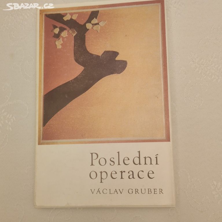 Václav Gruber, kniha Poslední operace.