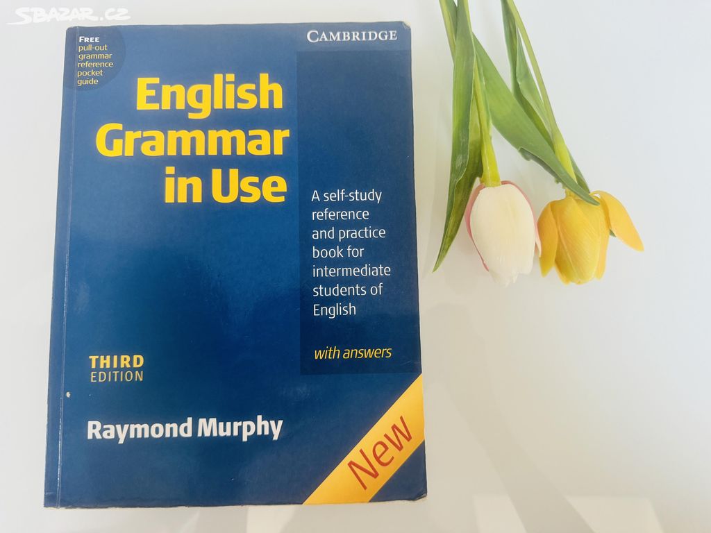 English Grammar in Use