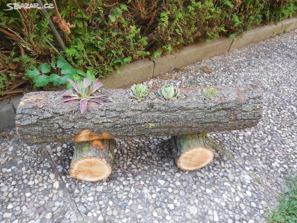 Dřevěný přírodní truhlík se skalničkami.