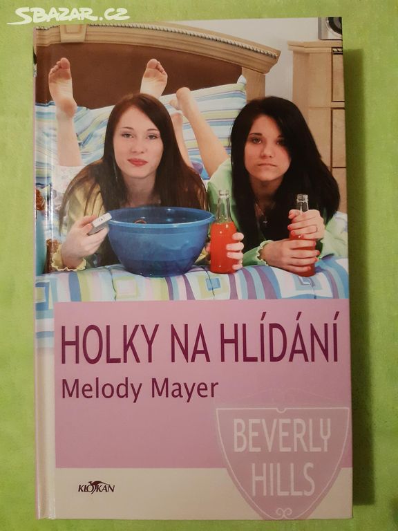 Holky na hlídání kniha