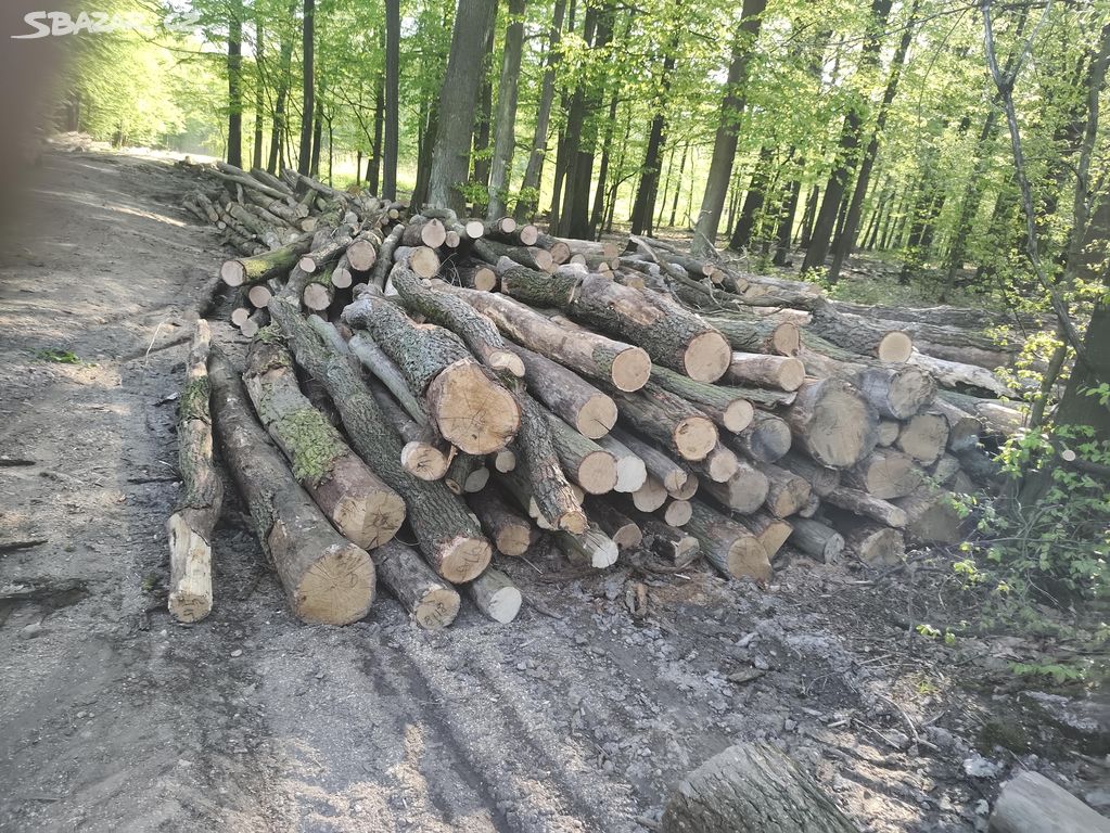 Palivové dřevo Dub Jasan Buk Smrk Bříza