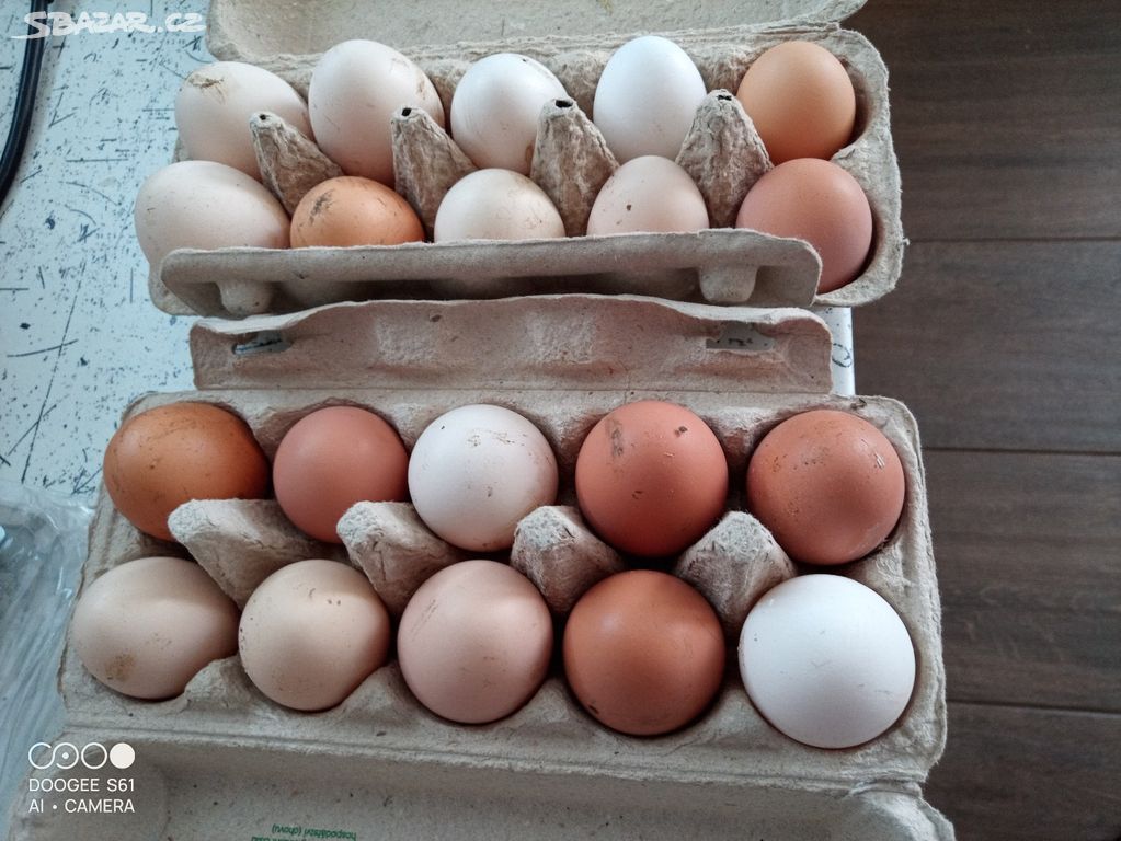 Domácí vejce vajíčka