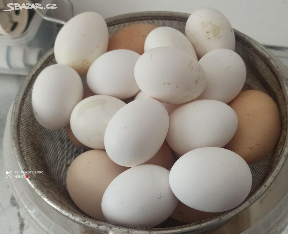 Bílá domácí vejce malá