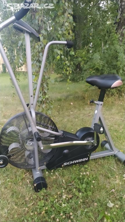 Rotoped Schwinn airdyne