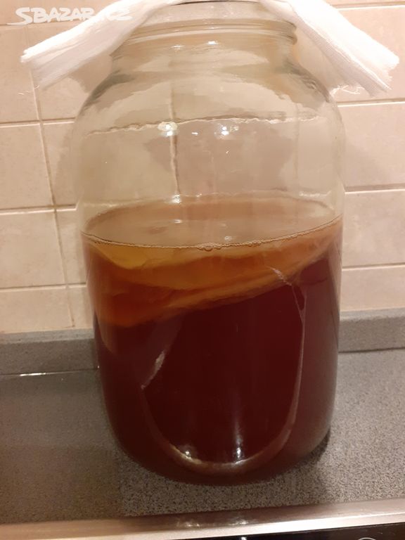 Kombucha