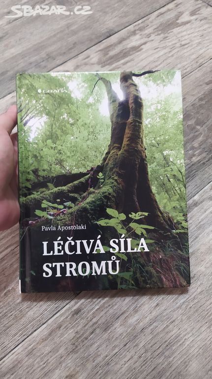 Léčivá síla stromů