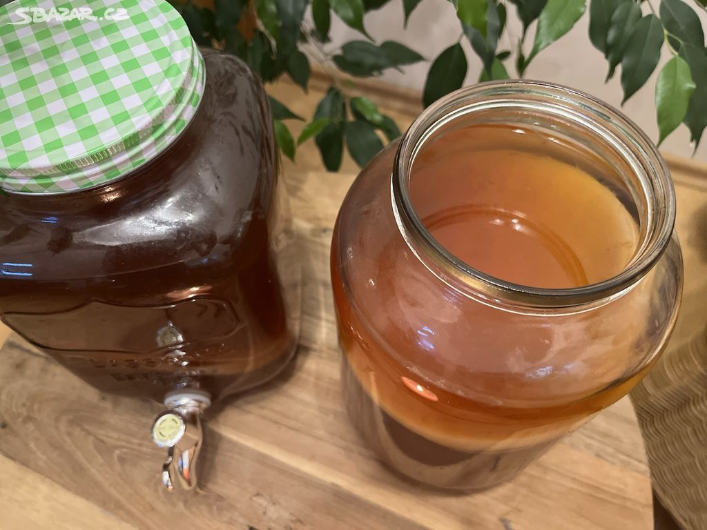 Kombucha Julinka