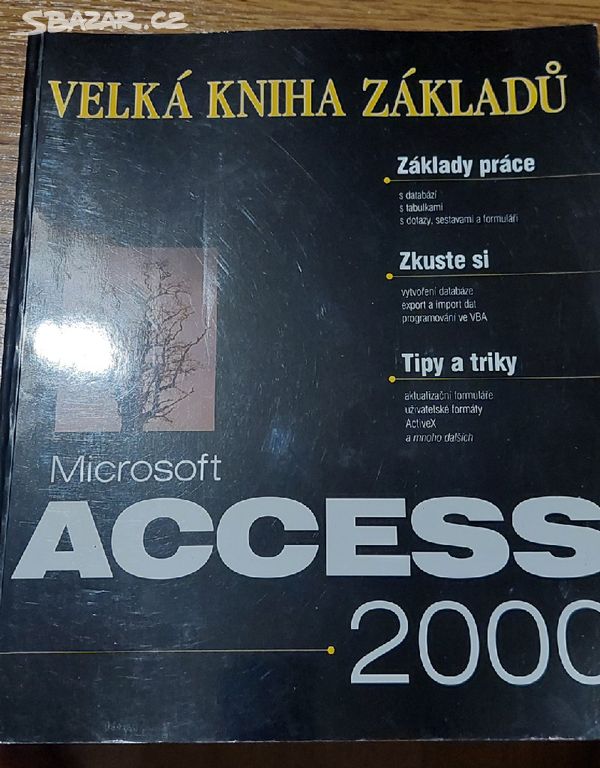 Microsoft access 2000