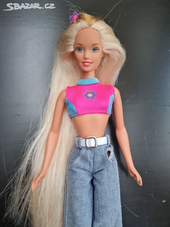 Barbie Teen Skipper  all grown up