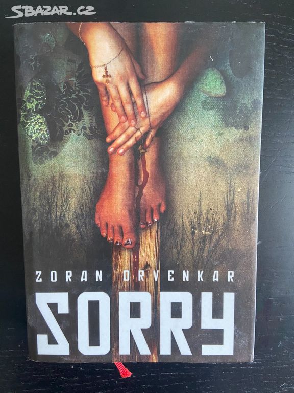 Kniha Sorry Zoran Drvenkar