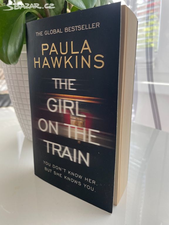 Thriller: The girl on the train
