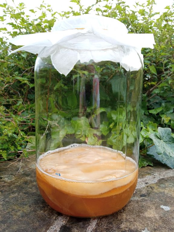 KOMBUCHA SKLENICE+SCOBY+STARTÉR+NÁVOD