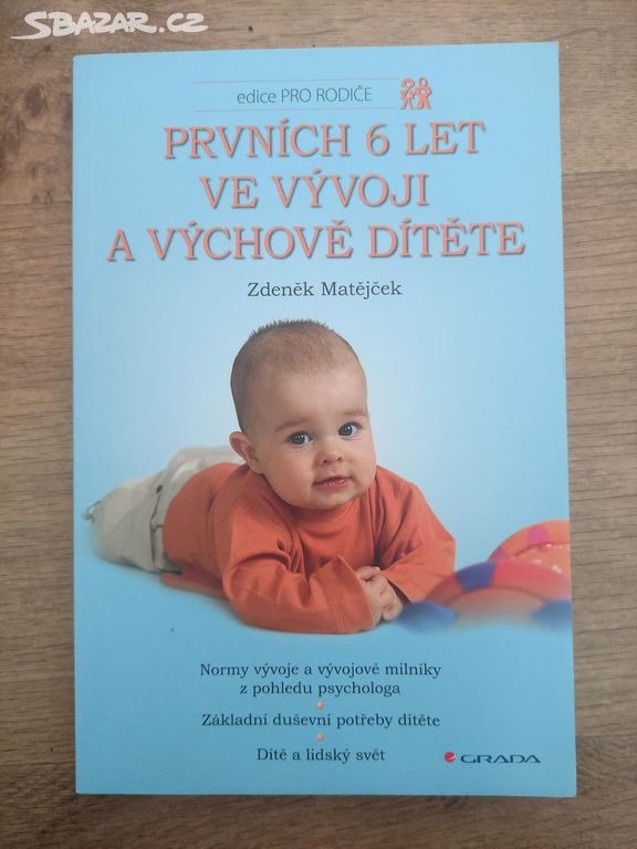 Prvních 6 let ve výchově dítěte (Zdeněk Matějček)